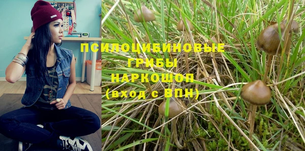 таблы Алексеевка
