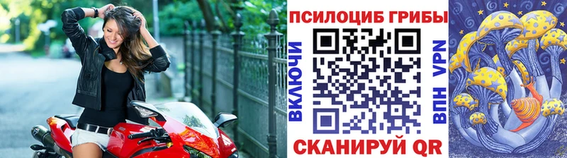 купить наркотики цена  omg ссылки  Галлюциногенные грибы мухоморы  Ростов-на-Дону 